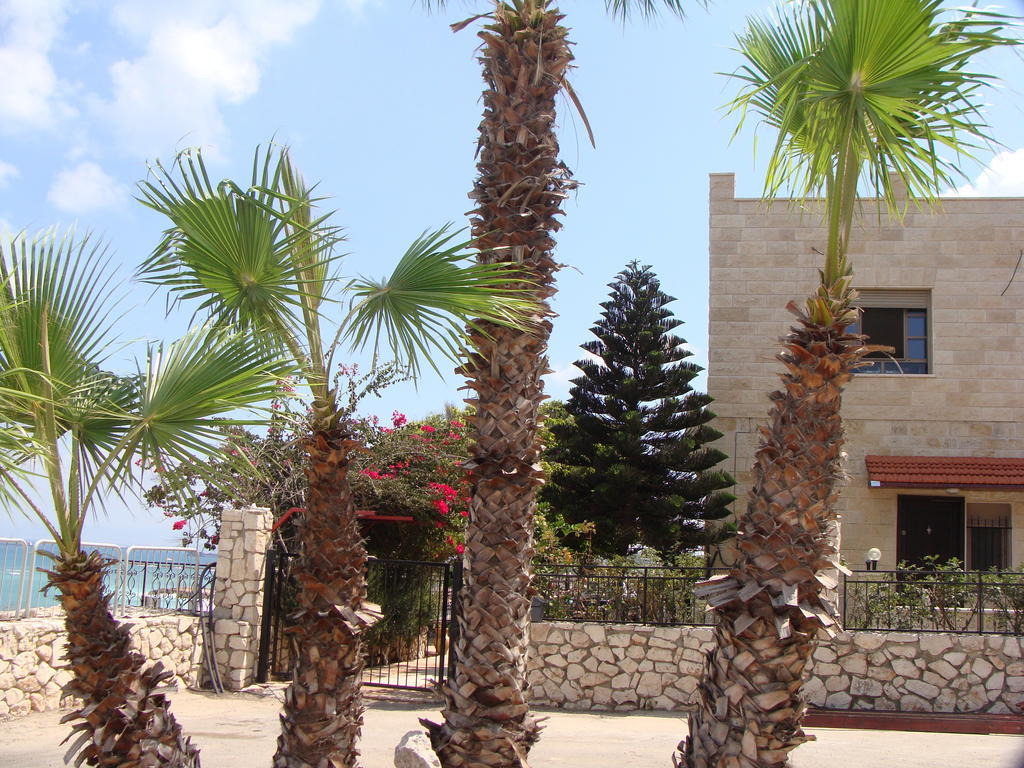 Tamer Guest House Haifa Exterior photo