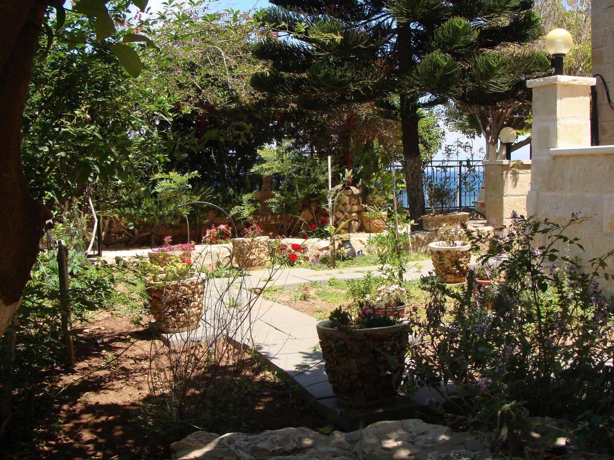 Tamer Guest House Haifa Exterior photo